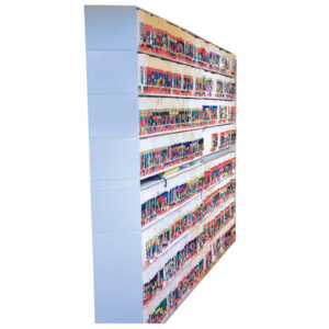 36" Locking Door Unit for Color Code Shelving, Straight, Qty. 1