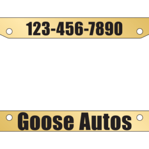 Lic Plate Frame-Gold Faced(1)