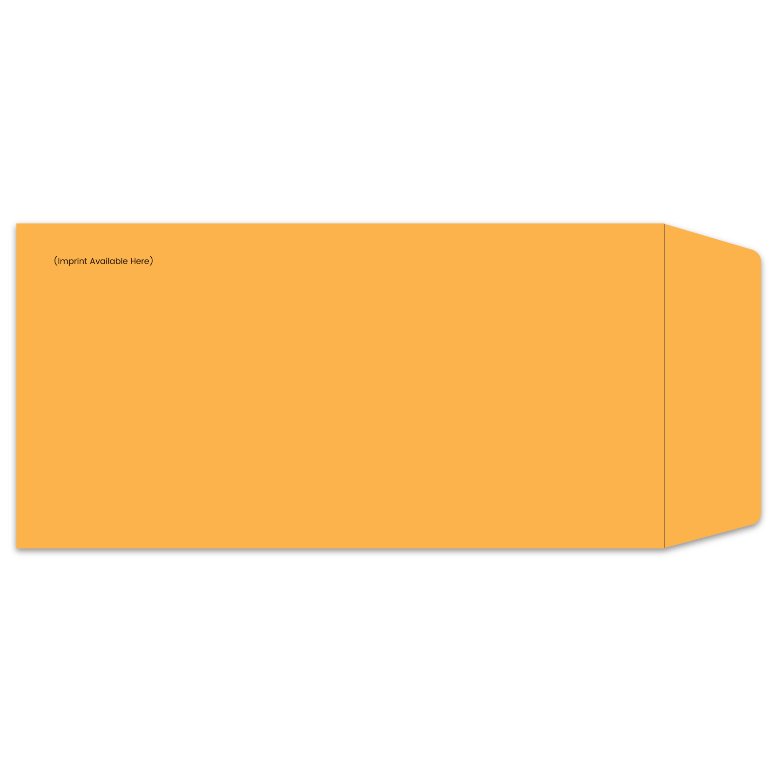 831-IMP_License-Plate-Envelopes_Moist-and-Seal_Custom-00_P-WEB-1.jpg