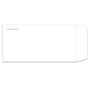 8310-IMP_License-Plate-Envelopes_Moist-and-Seal_Custom-00_P-WEB-1.jpg