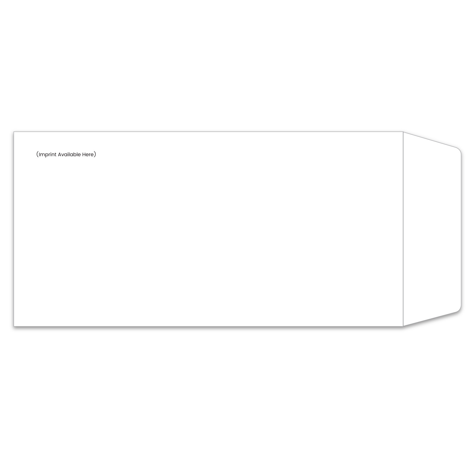 8310-IMP_License-Plate-Envelopes_Moist-and-Seal_Custom-00_P-WEB-1.jpg