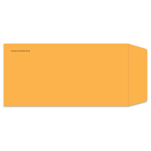 832-IMP_License-Plate-Envelopes_Self-Seal_Custom-00_P-WEB-1.jpg
