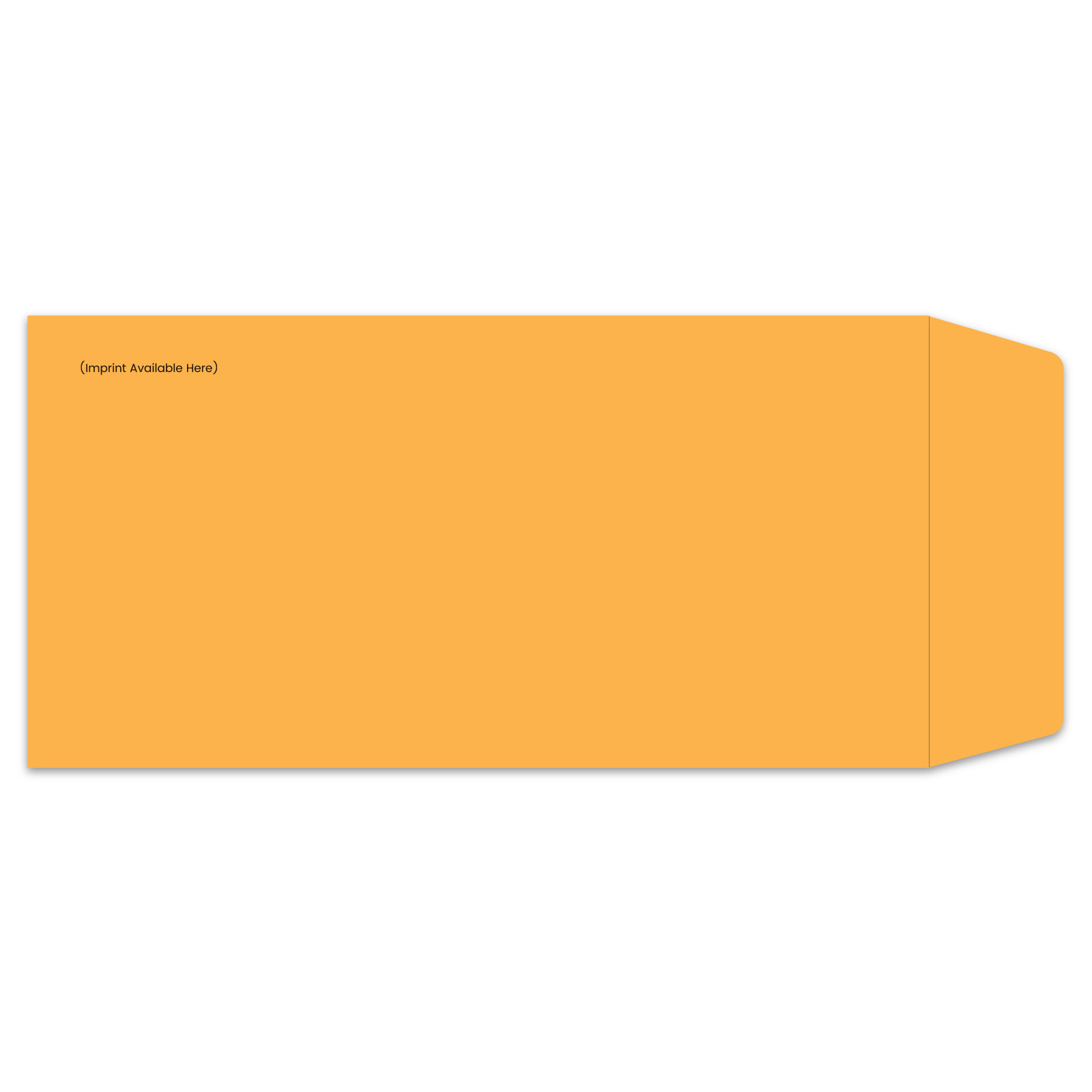 832-IMP_License-Plate-Envelopes_Self-Seal_Custom-00_P-WEB-1.jpg